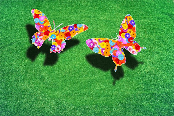 Two butterflies above a green meadow
