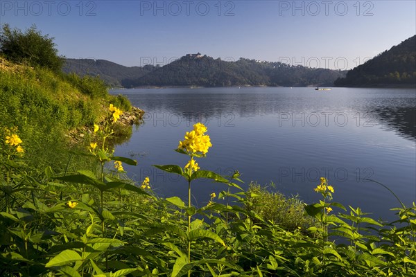 Lake Edersee with a view of Waldeck Castle