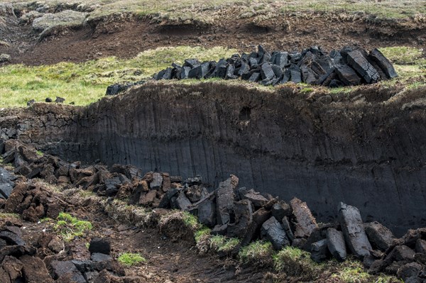 Peat extraction in bog