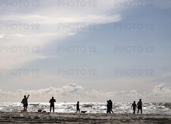 Walker with dog on a North Sea beach in Vejers