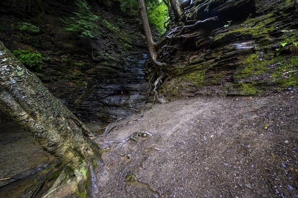 Chestnut Ridge Park Eternal Flame Falls Trail