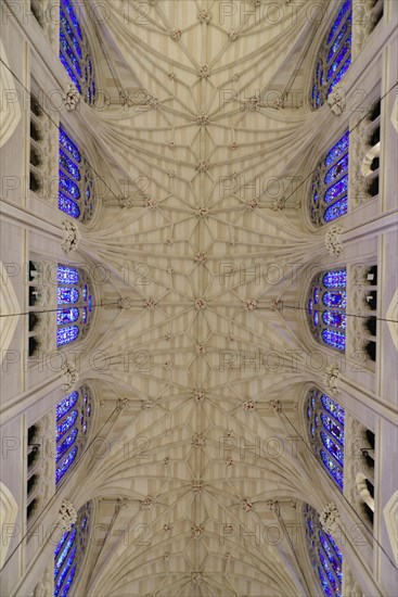 Vaulted ceiling