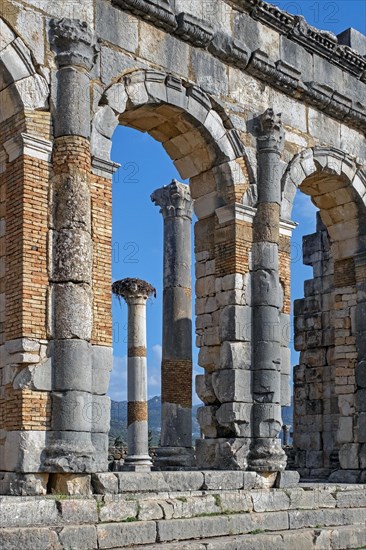 Arched outer wall of basilica faced with columns at Volubilis