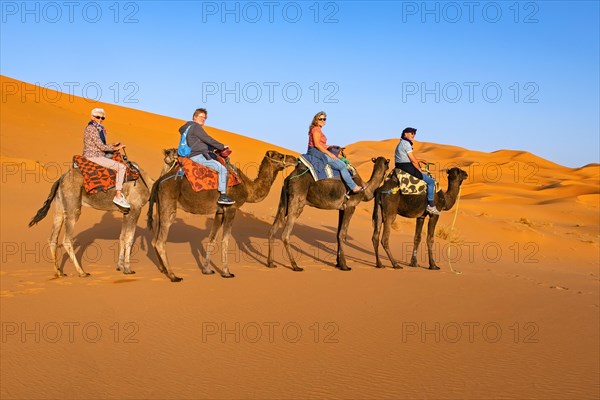 Western tourists riding dromedary camels in sand dunes of Erg Chebbi