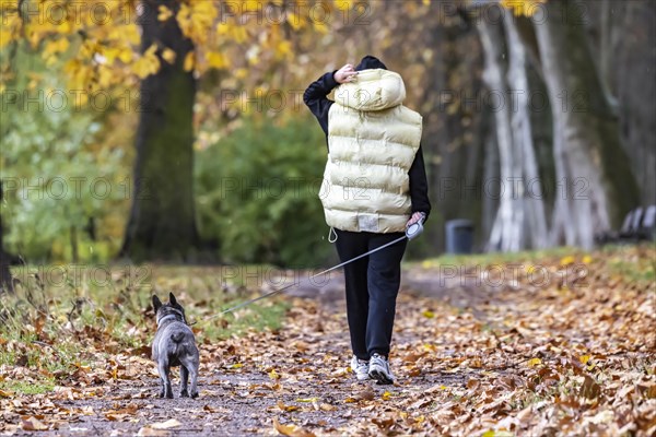 Autumn walk with dog in rainy weather