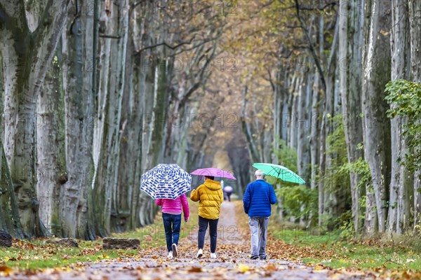 Autumn walk with umbrella in rainy weather