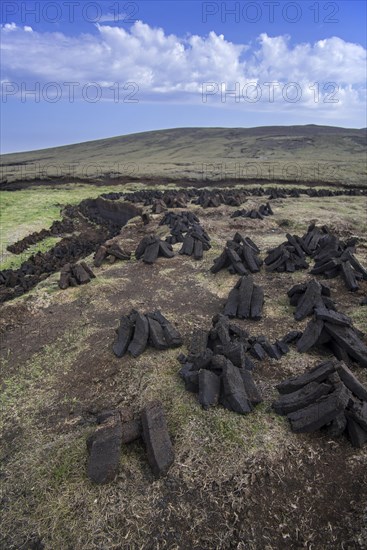 Peat extraction in bog