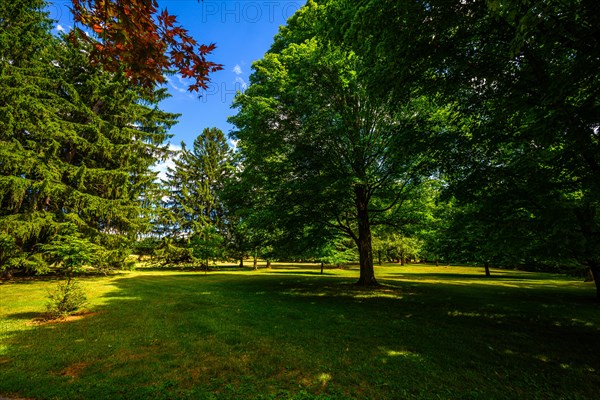 Home of Franklin D. Roosevelt National Historic Site