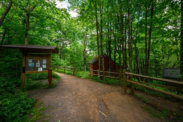 Platte Clove Preserve in the Catskills Mountains