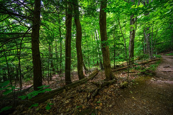 Platte Clove Preserve in the Catskills Mountains