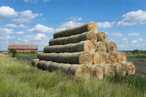 Hay bales