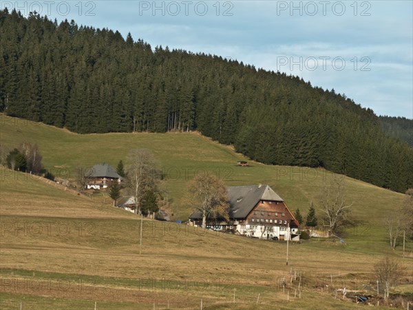 Schwarzwaldhof