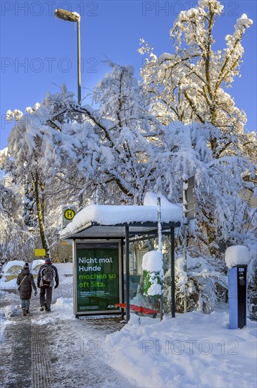 Bus stop and trees with fresh snow