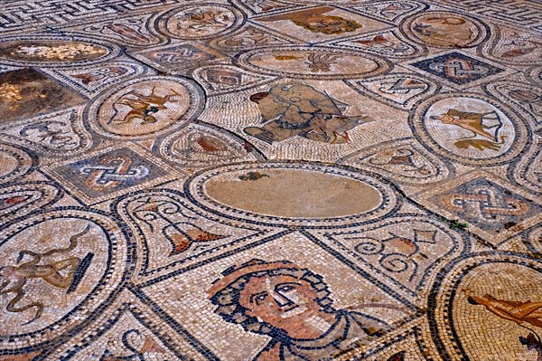 Roman mosaic from 2nd century AD at Volubilis