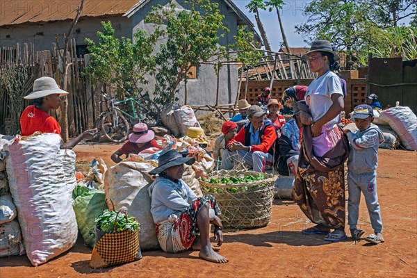 Malagasy vendors selling fruit and vegetables at food market in the streets of city Ambalavao