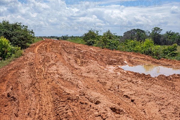 Large rain puddles in red mud of the Linden-Lethem dirt road linking Lethem and Georgetown in the rainy season