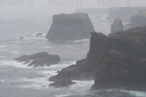 Sea stacks and cliffs in the mist at Eshaness