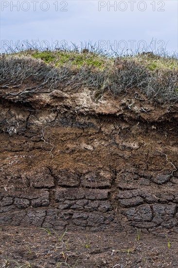 Peat hag showing exposed layers of turf