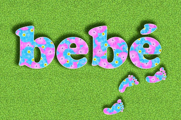 The Spanish and Portuguese word Bebe for baby