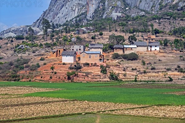 Betsileo rural village on hillside and rice fields in the Haute Matsiatra Region