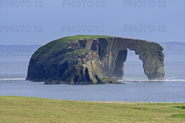 Dore Holm