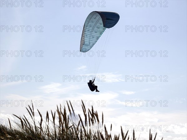 Paragliders flying over a beach at the North Sea