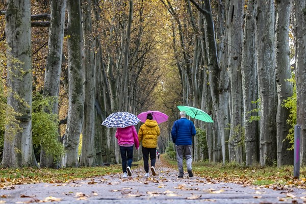 Autumn walk with umbrella in rainy weather