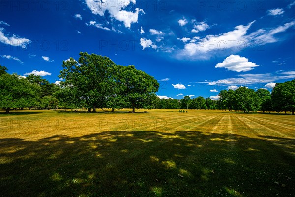 Home of Franklin D. Roosevelt National Historic Site