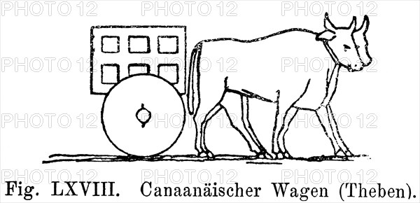 Canaaian wagon