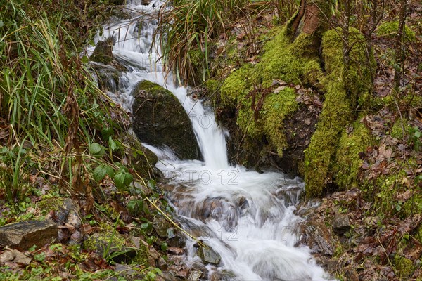 Small stream with blurred water movement through a forest near Waldkirch