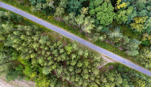 Aerial view of cyclists on the Wall Trail in Berlin Marienfelde. The Wall Trail marks the course of the former GDR border fortifications to West Berlin