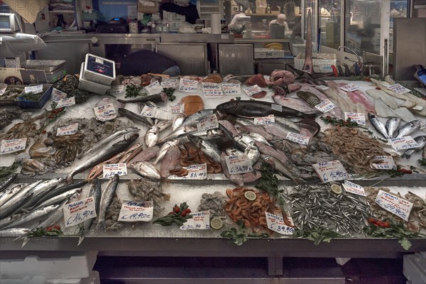 Fresh fish on ice at a fish stall in the large market hall