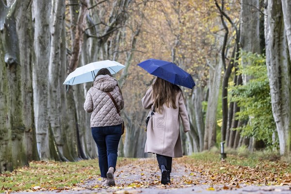 Autumn walk with umbrella in rainy weather