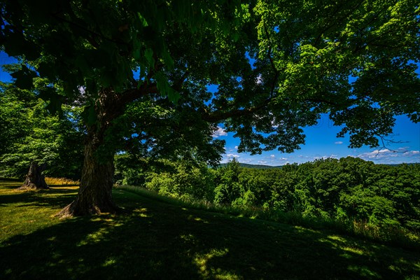 Vanderbilt Mansion National Historic Site