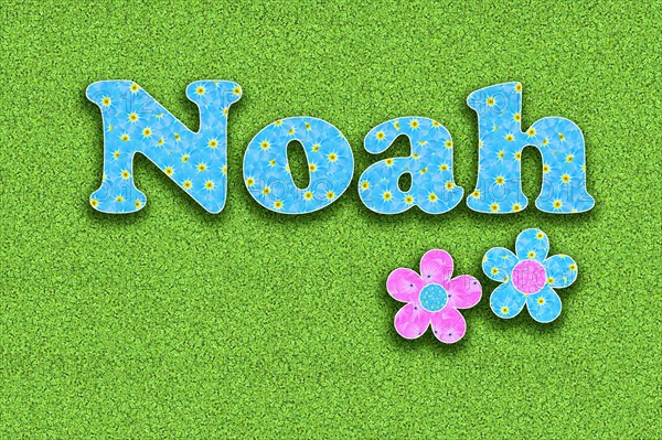 The name Noah written with light blue flowers