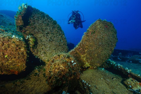 Diver swims behind huge propeller of sunken ship shipwreck wreck