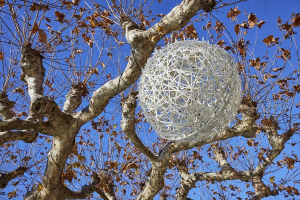 Christmas decoration on a plane tree