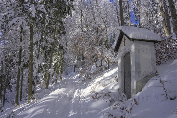 Winter Way of the Cross