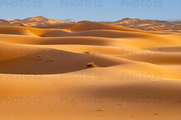 Wind-swept sand dunes of Erg Chebbi in the Sahara Desert near Merzouga