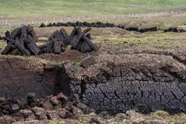 Peat extraction in bog