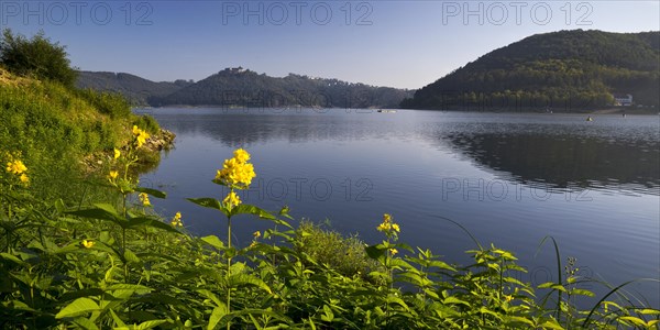 Lake Edersee with a view of Waldeck Castle