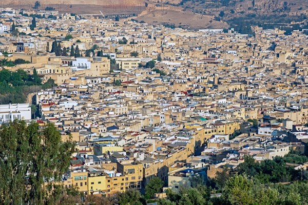 Aerial view over the yellow medina of the city Fes