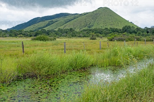 Meadow with rivulet in front of hills along the Linden-Lethem dirt road linking Lethem and Georgetown through the savanna