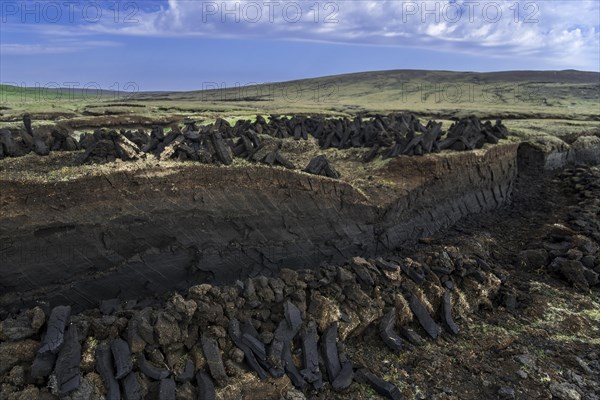 Peat extraction in bog