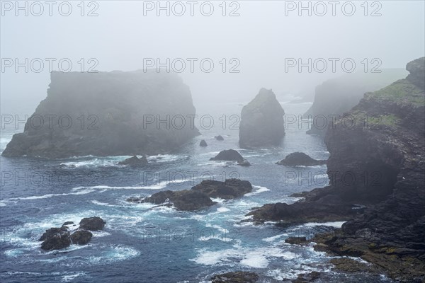 Sea stacks and sea cliffs in mist during stormy weather at Eshaness