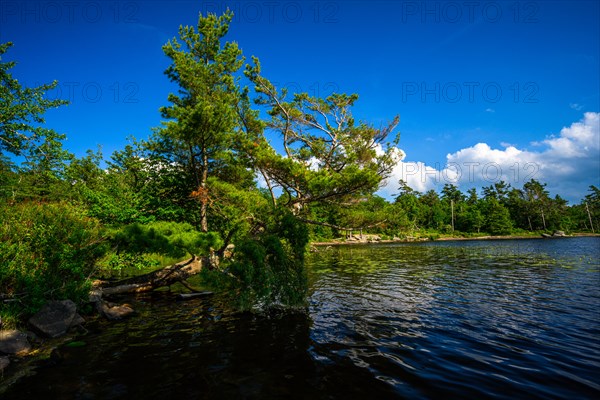 South Lake in Catskills Mountains