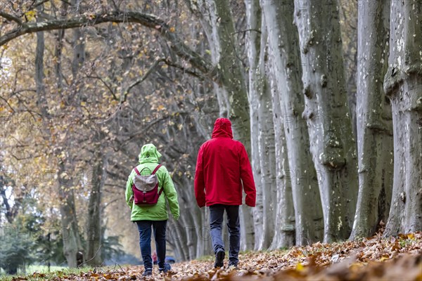 Autumn walk with in rainy weather