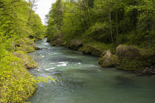 Erlauf, Erlauf Gorge, Purgstall an der Erlauf, Lower Austria