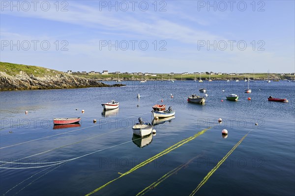 Boats on lines in the bay of Lampaul, Ouessant Island, Finistere, Brittany