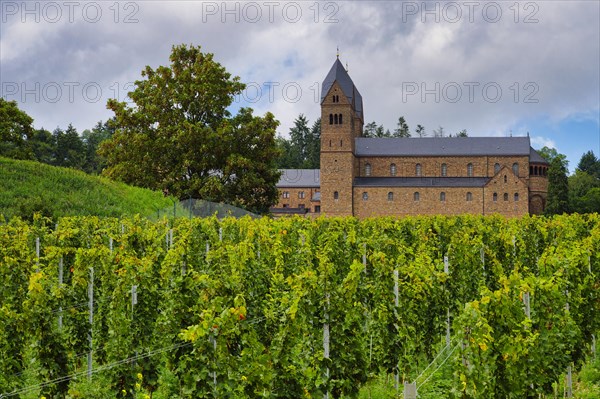 Eibingen or Saint Hildegard Benedictine Abbey surrounded by vineyards, Rudesheim, Hesse, Germany, Europe